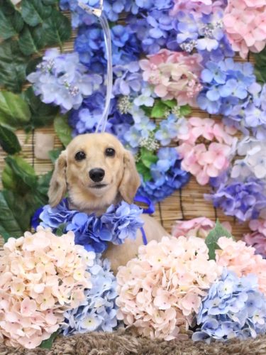 20250619こなつちゃん